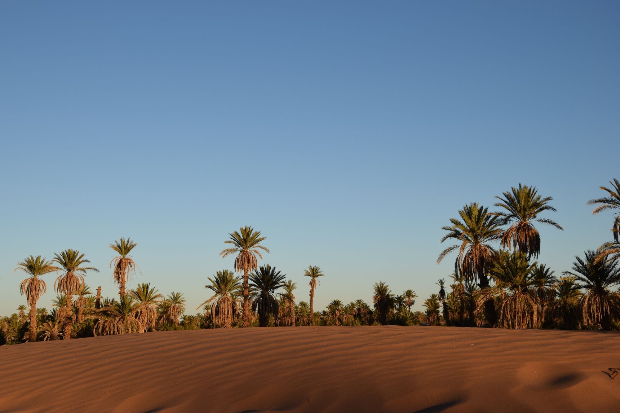 Carrefour Des Nomades Oulad Driss Exterior foto